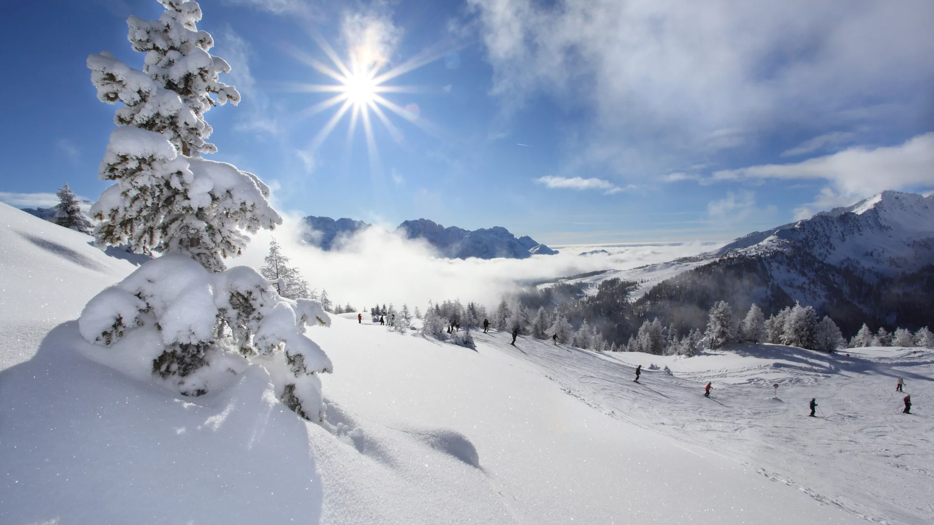 Sci alpino e snowboard