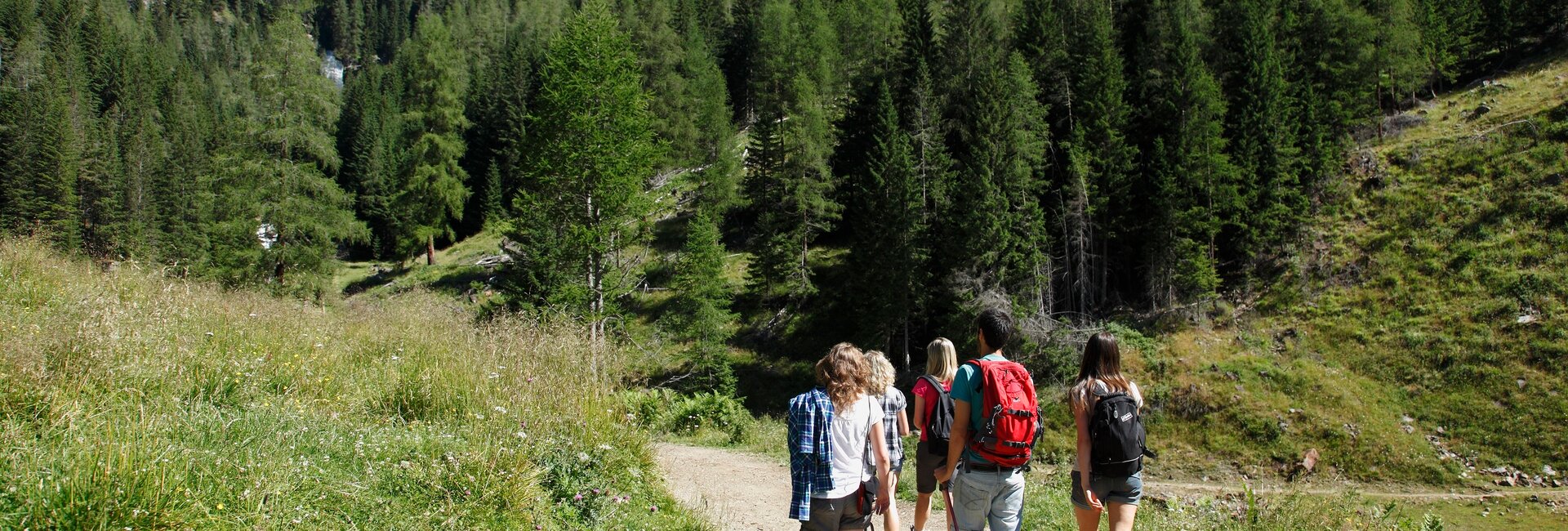 Passeggiate a Dimaro Folgarida