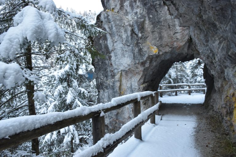 ESCURSIONE IN VAL MELEDRIO A DIMARO