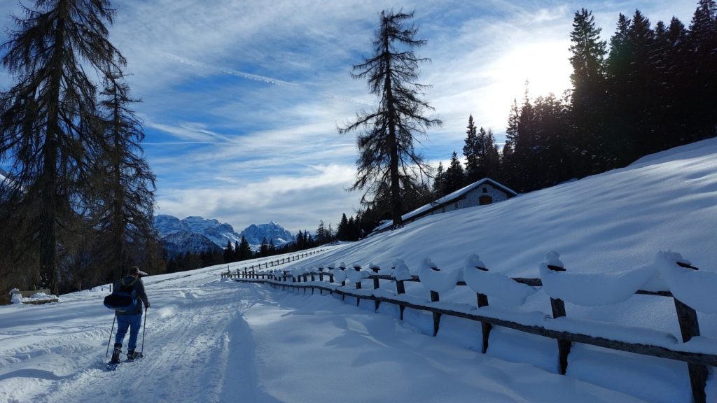 ESCURSIONE MALGA DIMARO – MALGA VIGO/BAITA CIOCOMITI